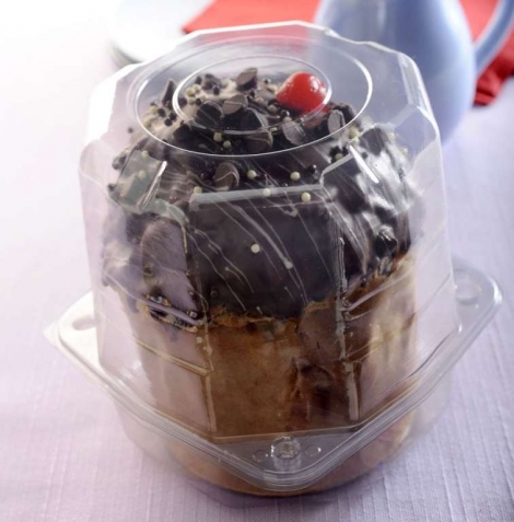 GALV - G33 PANETONE 500G PET - CX.100UN